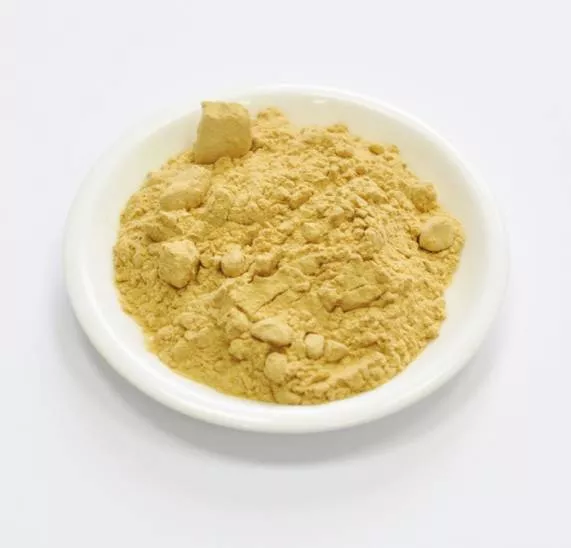 Сухой экстракт лопуха (корень) (лат. Arctium Lappa L)